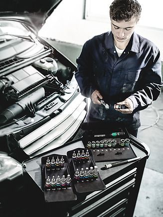 Набір головок для викрутки Zyklop TORX&reg;, з фіксуючою функцією 1/2&Prime; 8767 C TORX&reg; HF 1 WERA 05004202001 05004202001 фото