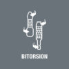 Бита торсионная TX10х25 мм WERA 05066120001
