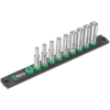 Набор удлинённых торцовых головок на магнитном держателе 1/4″ WERA 05005410001